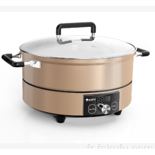 Cuisinière électrique de gril de barbecue avec le pot et le gril